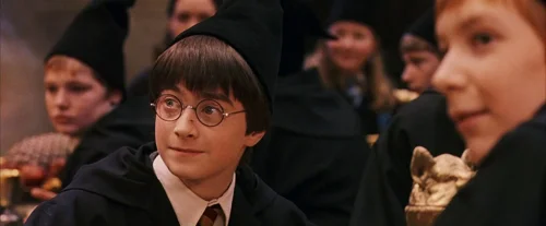 Still frame 166 from Harry Potter and the Sorcerer's Stone (2001) directed by Chris Columbus