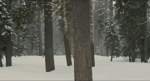 Still frame 177 from Her (2013) directed by Spike Jonze