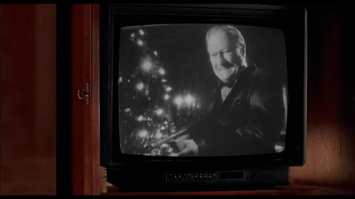 Still frame 30 from Home Alone 2: Lost in New York (1992) directed by Chris Columbus