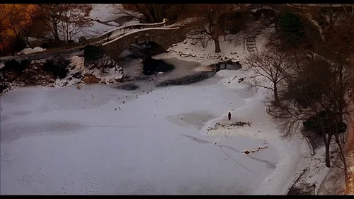 Still frame 101 from Home Alone 2: Lost in New York (1992) directed by Chris Columbus