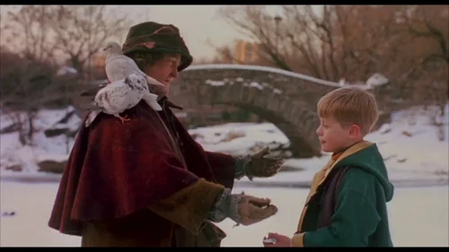 Still frame 102 from Home Alone 2: Lost in New York (1992) directed by Chris Columbus