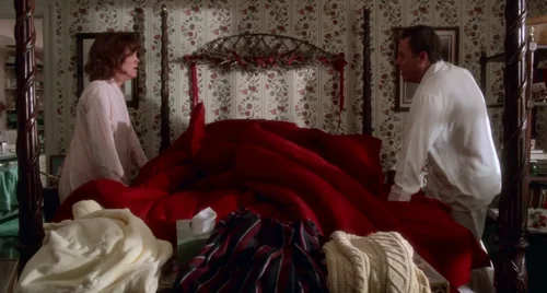 Still frame 14 from Home Alone (1990) directed by Chris Columbus
