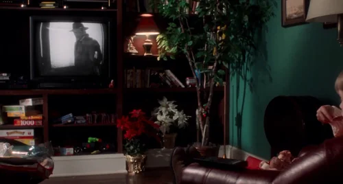 Still frame 20 from Home Alone (1990) directed by Chris Columbus