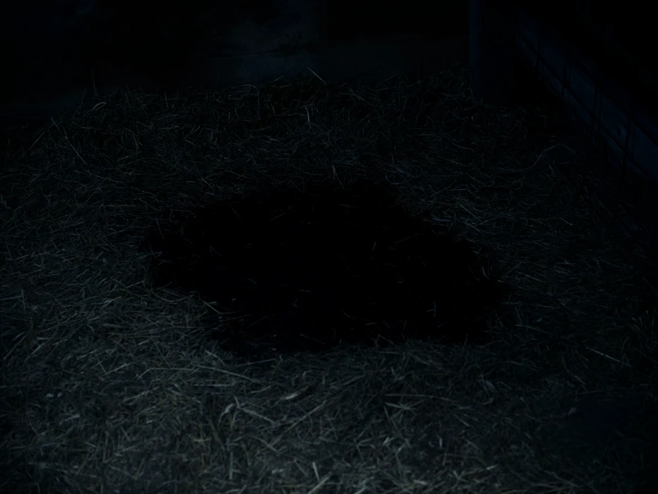 Still frame 42 from I'm Thinking of Ending Things (2020) directed by Charlie Kaufman