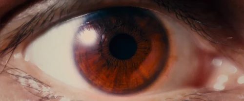 I Origins (2014) - Film Stills and Frames