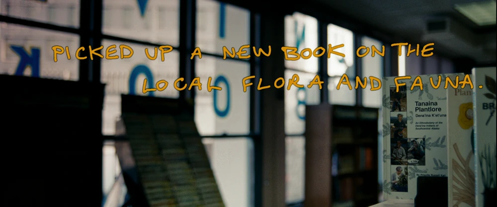 Still frame 2 from Into the Wild (2007) directed by Sean Penn