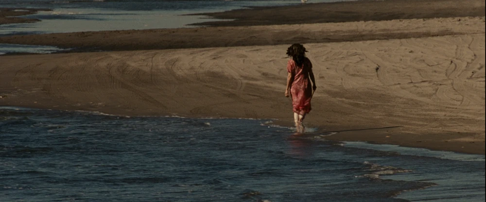 Still frame 67 from Into the Wild (2007) directed by Sean Penn