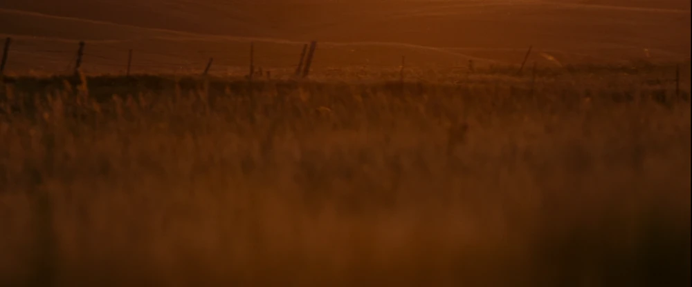 Still frame 81 from Into the Wild (2007) directed by Sean Penn
