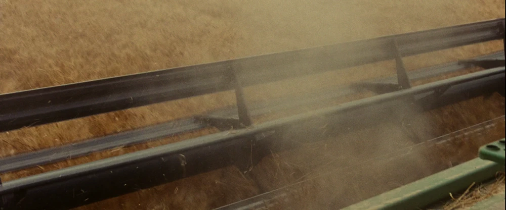 Still frame 87 from Into the Wild (2007) directed by Sean Penn