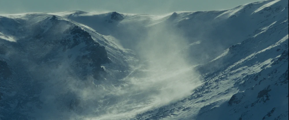 Into the Wild