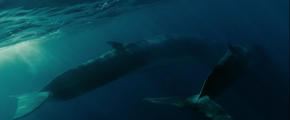 Still frame 140 from Into the Wild (2007) directed by Sean Penn