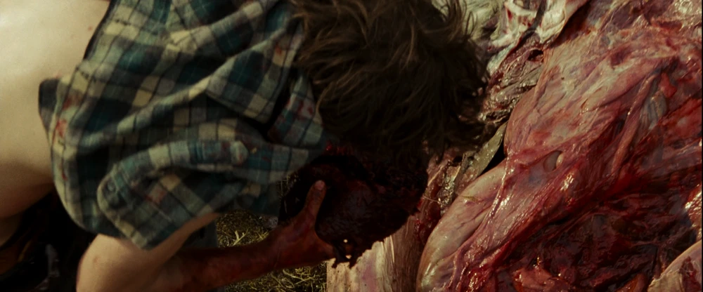 Still frame 177 from Into the Wild (2007) directed by Sean Penn