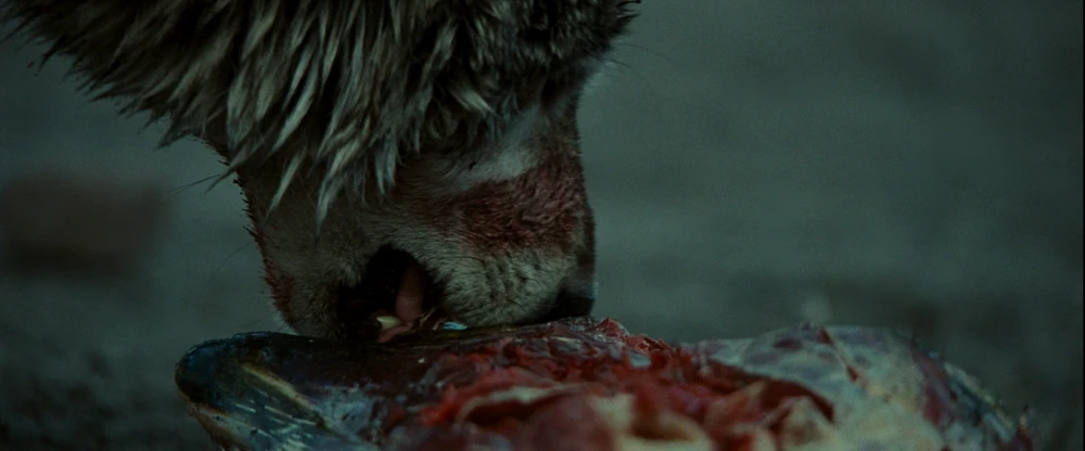 Still frame 184 from Into the Wild (2007) directed by Sean Penn