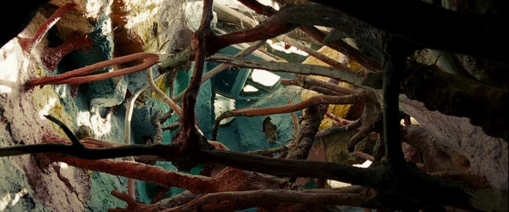 Still frame 196 from Into the Wild (2007) directed by Sean Penn