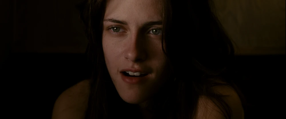 Still frame 208 from Into the Wild (2007) directed by Sean Penn