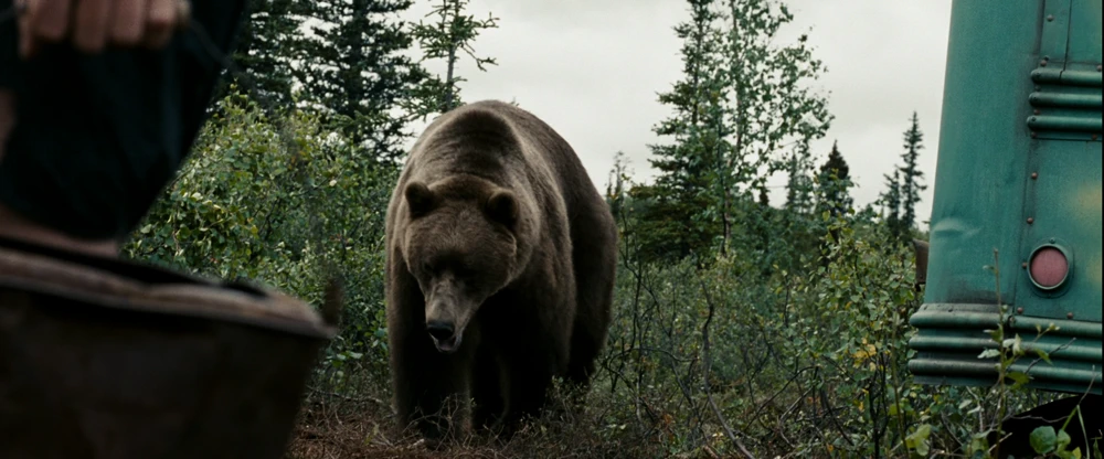 Still frame 263 from Into the Wild (2007) directed by Sean Penn