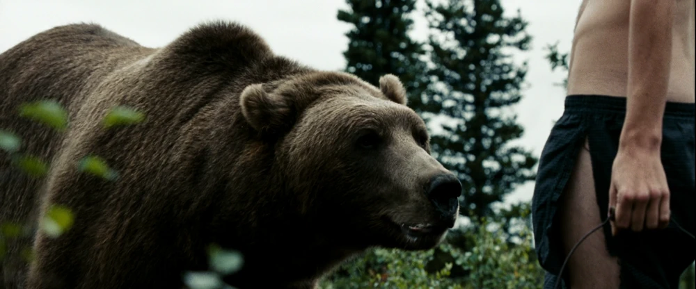 Still frame 264 from Into the Wild (2007) directed by Sean Penn