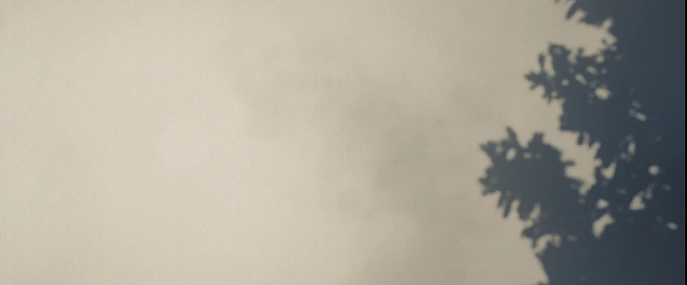 Still frame 284 from Into the Wild (2007) directed by Sean Penn