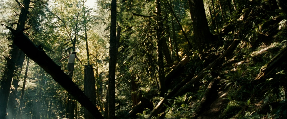 Still frame 54 from Into the Wild (2007) directed by Sean Penn