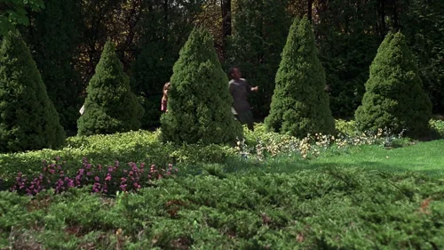 Still frame 17 from It Takes Two (1995) directed by Andy Tennant