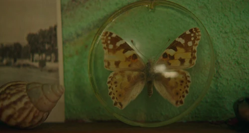 Still frame 48 from Jojo Rabbit (2019) directed by Taika Waititi