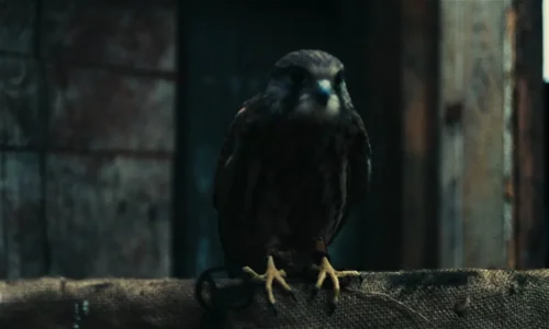 Kes