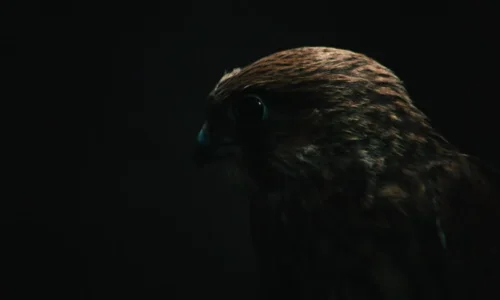 Kes