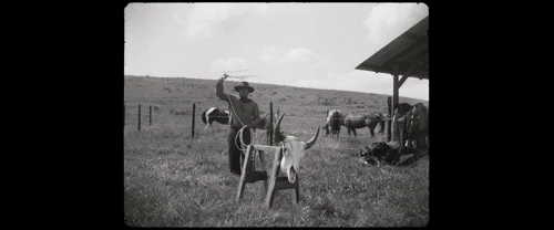 Still frame 14 from Killers of the Flower Moon (2023) directed by Martin Scorsese