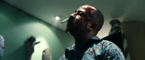Still frame 28 from Kite (2014) directed by Ralph Ziman
