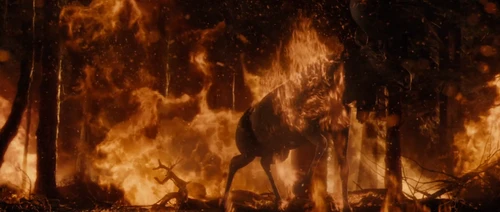 Still frame 128 from Knowing (2009) directed by Alex Proyas