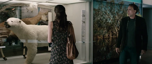 Still frame 139 from Knowing (2009) directed by Alex Proyas