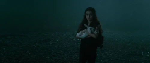 Still frame 270 from Knowing (2009) directed by Alex Proyas
