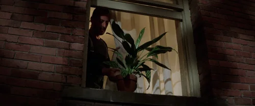 Still frame 255 from Léon: The Professional (1994) directed by Luc Besson