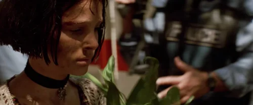 Still frame 312 from Léon: The Professional (1994) directed by Luc Besson