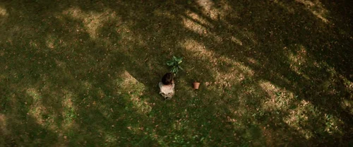 Still frame 333 from Léon: The Professional (1994) directed by Luc Besson