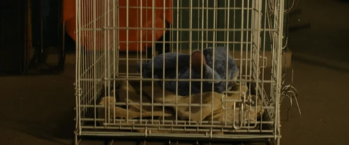 Still frame 196 from Lilo & Stitch (2025) directed by Dean Fleischer Camp