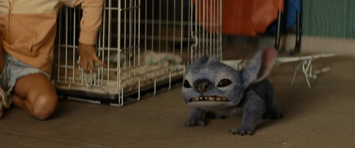 Still frame 200 from Lilo & Stitch (2025) directed by Dean Fleischer Camp
