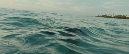 Still frame 237 from Lilo & Stitch (2025) directed by Dean Fleischer Camp