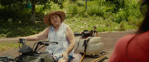 Still frame 51 from Lilo & Stitch (2025) directed by Dean Fleischer Camp