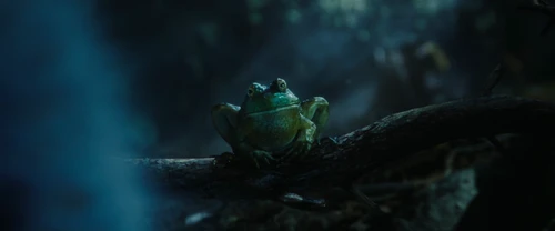 Still frame 67 from Lilo & Stitch (2025) directed by Dean Fleischer Camp