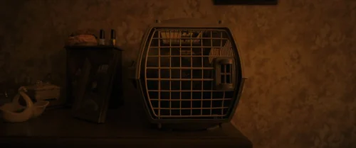 Still frame 105 from Longlegs (2024) directed by Osgood Perkins