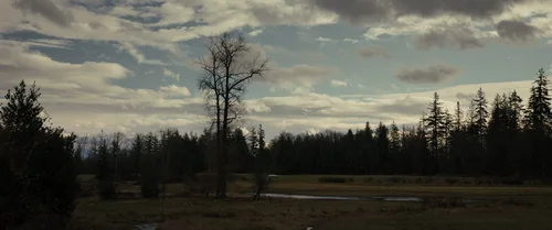 Still frame 145 from Longlegs (2024) directed by Osgood Perkins