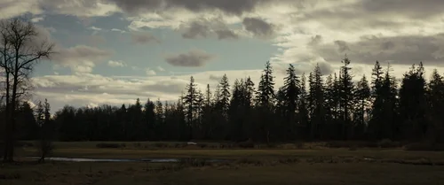 Still frame 146 from Longlegs (2024) directed by Osgood Perkins