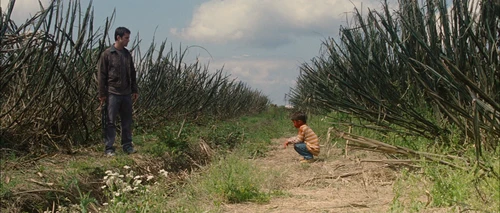 Still frame 226 from Looper (2012) directed by Rian Johnson