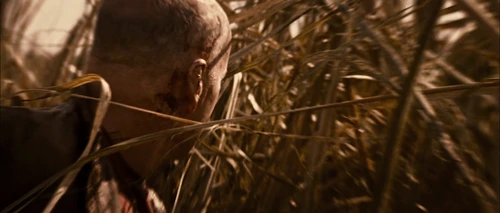 Still frame 252 from Looper (2012) directed by Rian Johnson