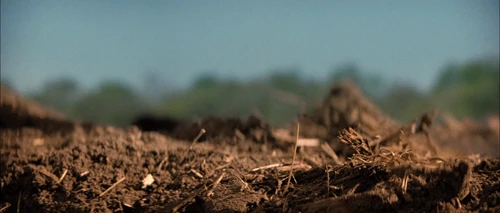 Still frame 254 from Looper (2012) directed by Rian Johnson