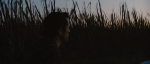 Still frame 2 from Looper (2012) directed by Rian Johnson