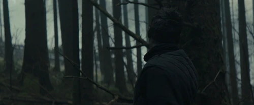 Still frame 189 from Macbeth (2015) directed by Justin Kurzel