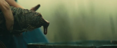Still frame 218 from Macbeth (2015) directed by Justin Kurzel