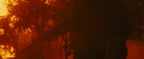 Still frame 288 from Macbeth (2015) directed by Justin Kurzel
